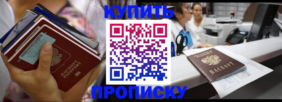 прописка для школы в Волоколамске